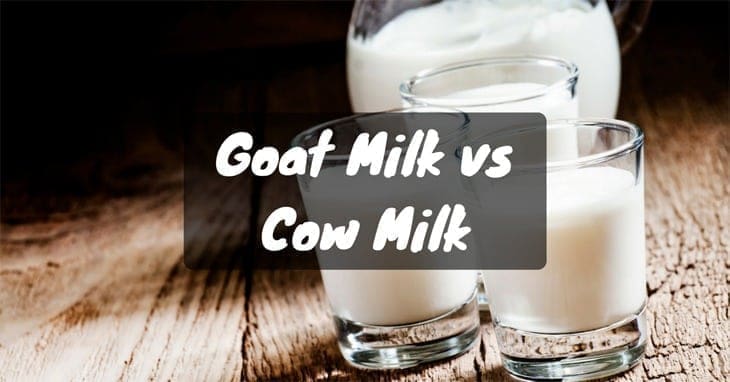 goat milk vs cow milk