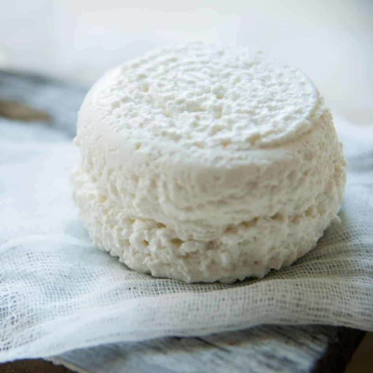 The Best Ingredients To Substitute For Goat Cheese