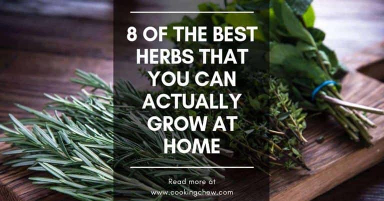 8 of the Best Herbs That You Can Actually Grow at Home