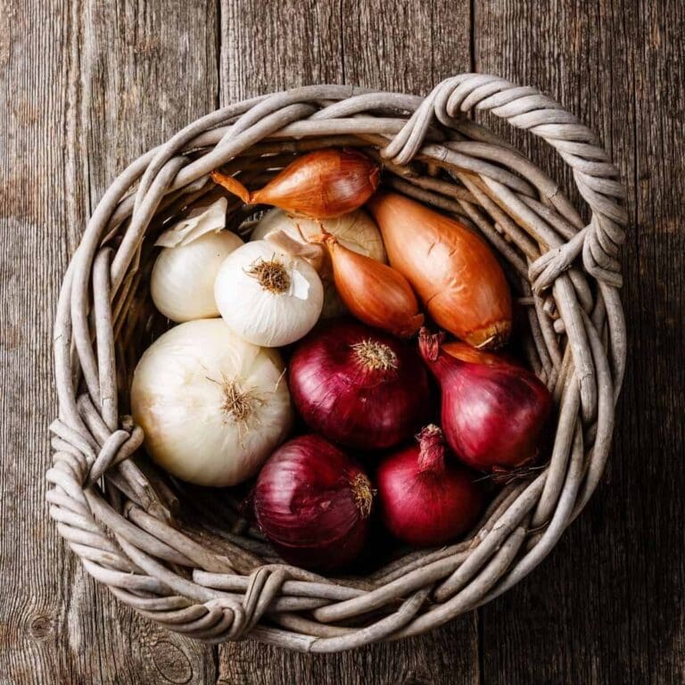 Different Types Of Onions
