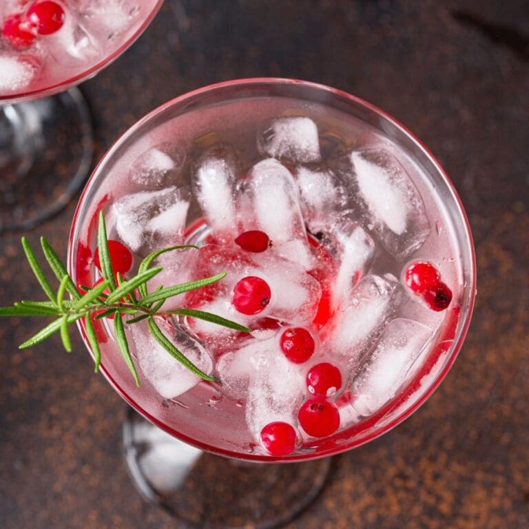 The image shows a glass filled with a cranberry margarita garnished with fresh cranberries.