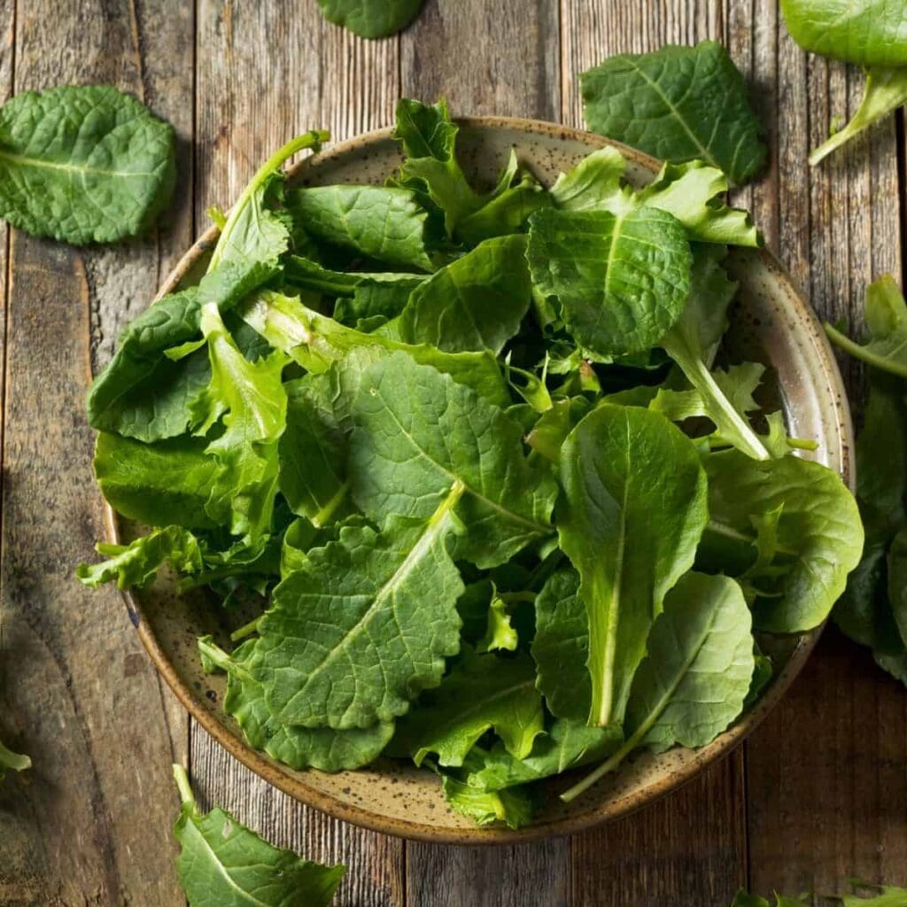 How to Store Kale to Keep it Fresh!