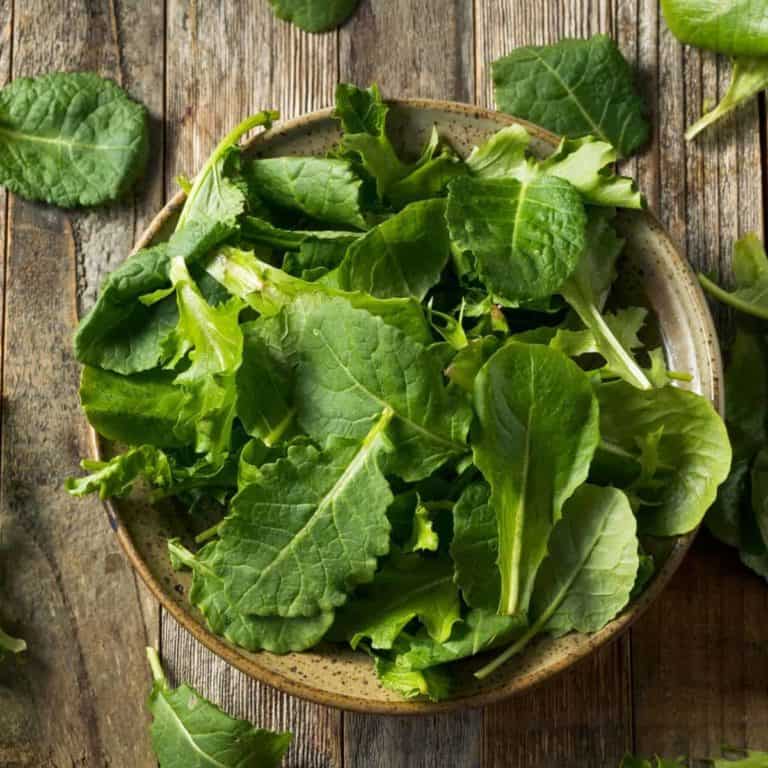 How to Store Kale to Keep it Fresh!