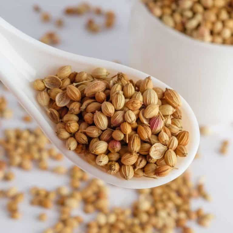 What Are the Different Coriander Substitutes?