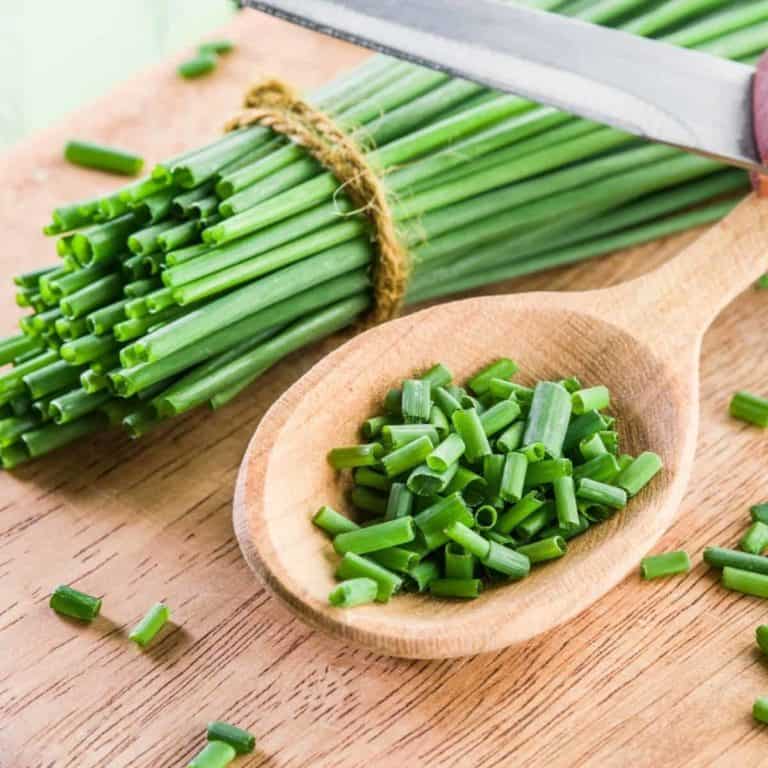 How to Store and Cut Green Onions