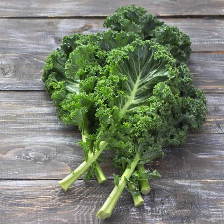 How to Freeze Kale in 3 Simple Ways