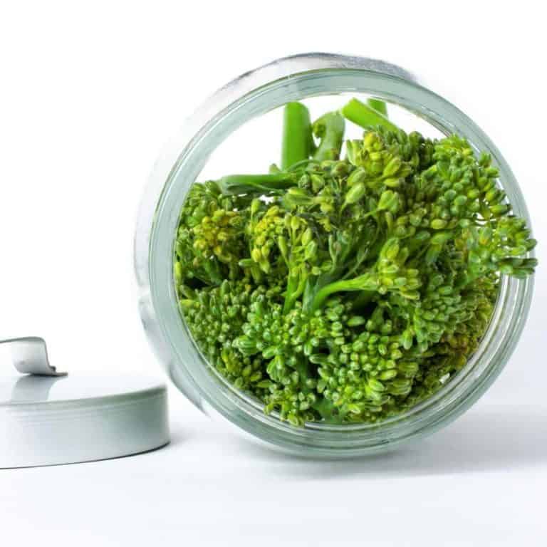 What Is Broccolini? (broccolini vs broccoli)