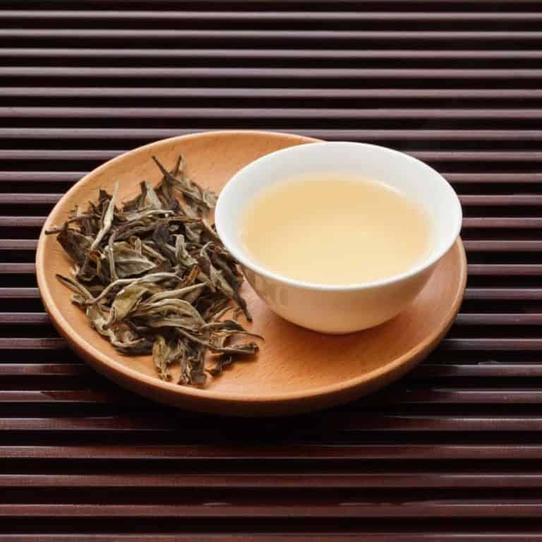 What Is White Tea? Here’s Everything You Need to Know