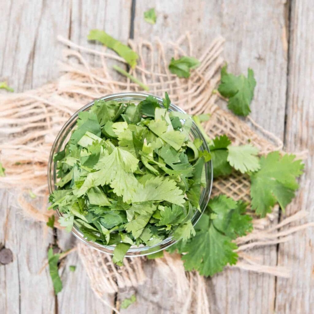 7 Best Cilantro Substitutes That Will Save Your Meal