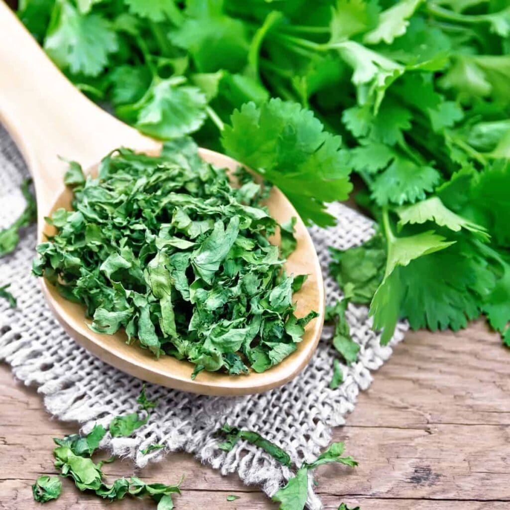 How to Store Cilantro in 4 Different Ways