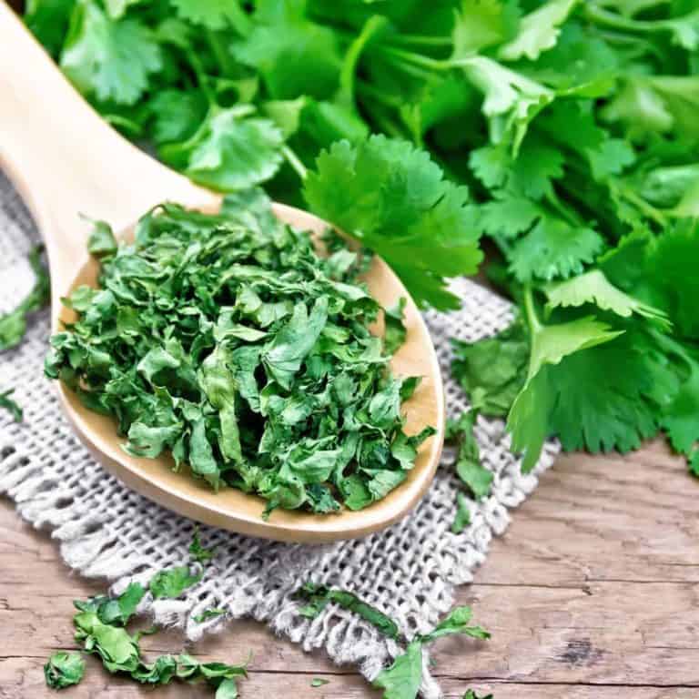 How to Store Cilantro in 4 Different Ways