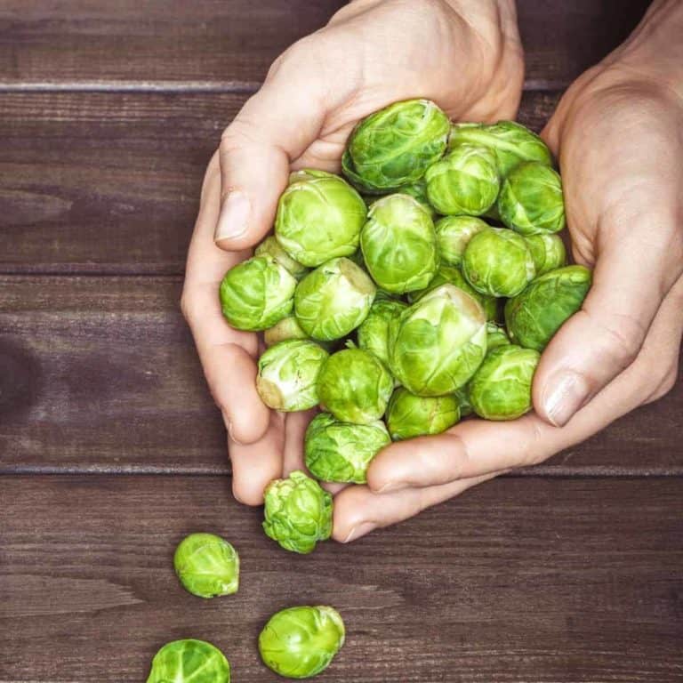 What Are Brussels Sprouts and What Do They Taste Like?