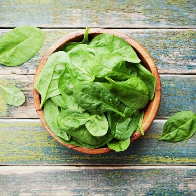 How to store spinach and keep it fresh for longer