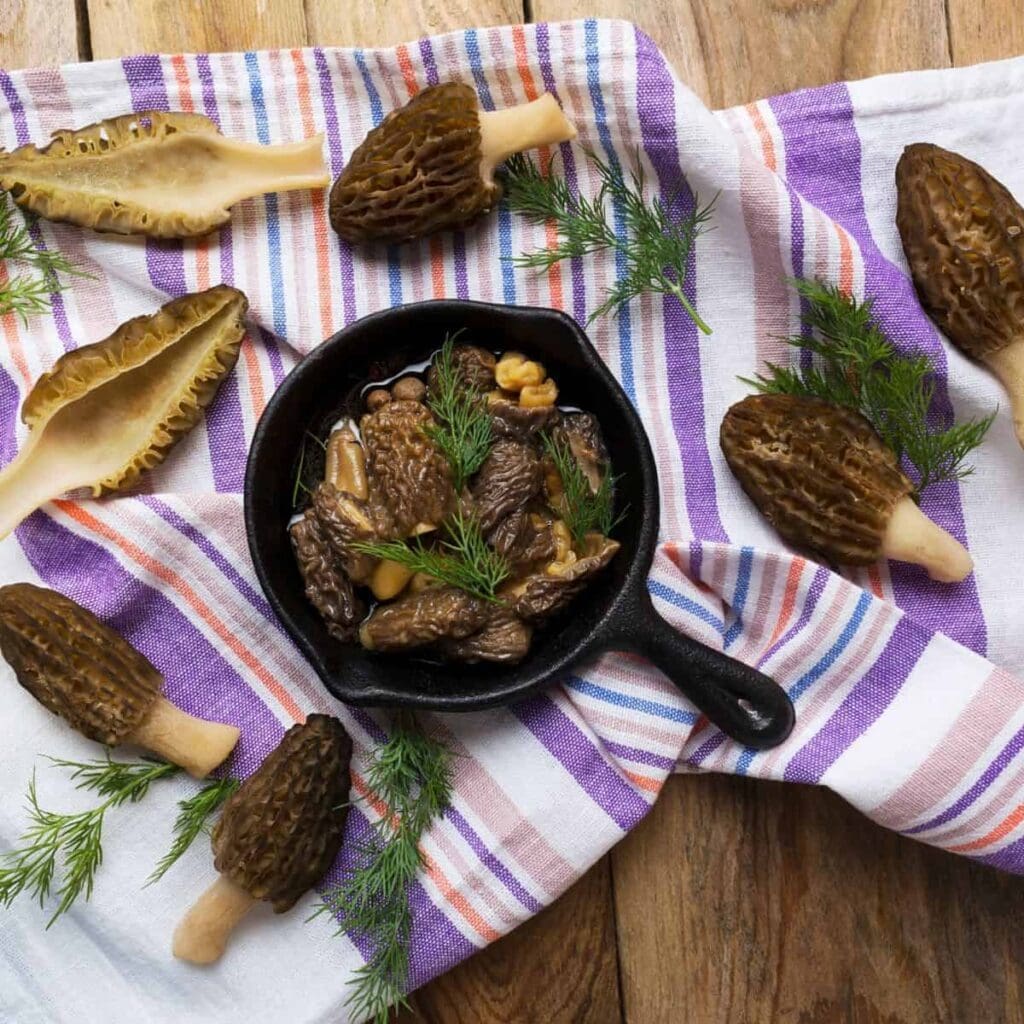 Can You Freeze Morel Mushrooms?