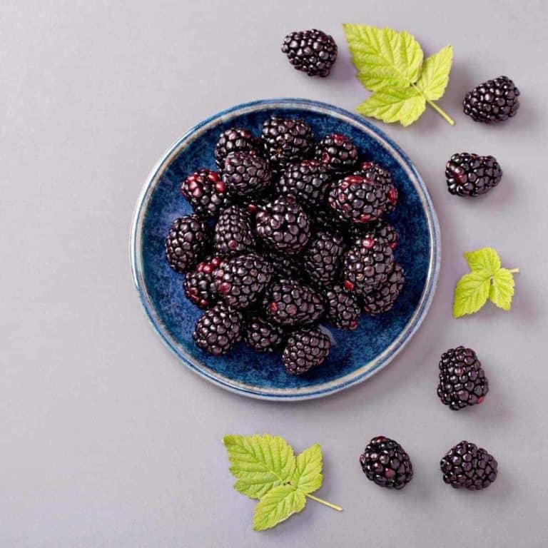How to Freeze Blackberries