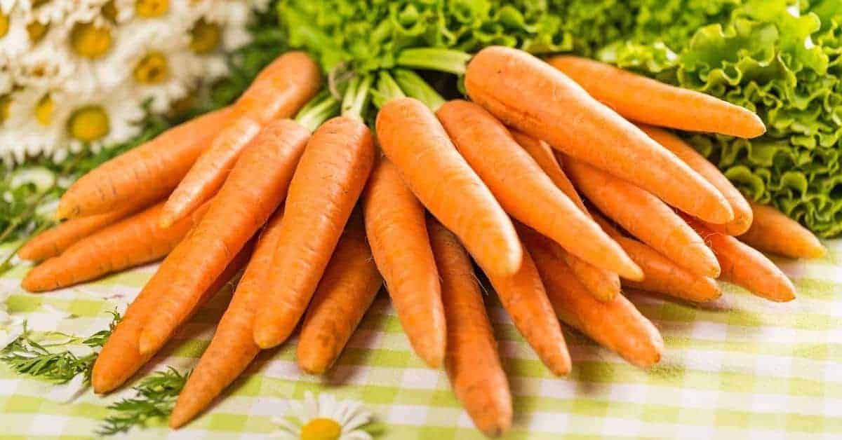 Can-You-Freeze-Carrots