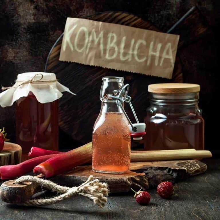 What does kombucha taste like?