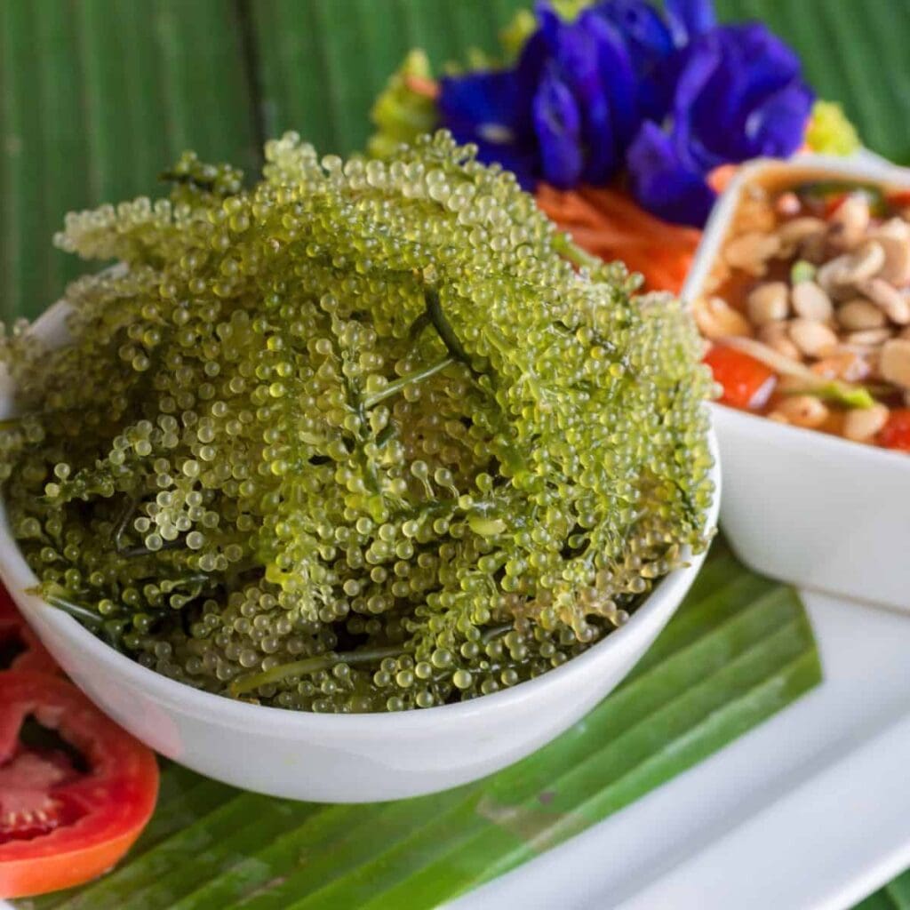 What do sea grapes taste like?