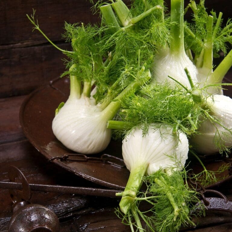 A close-up photo of a bunch of fennel bulbs on a white plate.