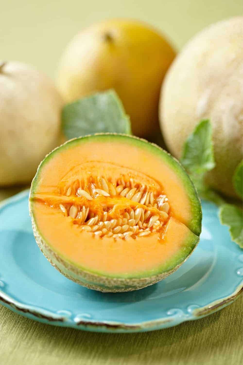 How-to-pick-a-good-cantaloupe-CO722-Pin-4