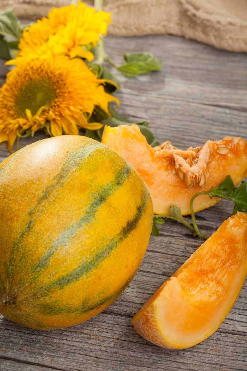 How-to-pick-a-good-cantaloupe-CO722-Pin-5