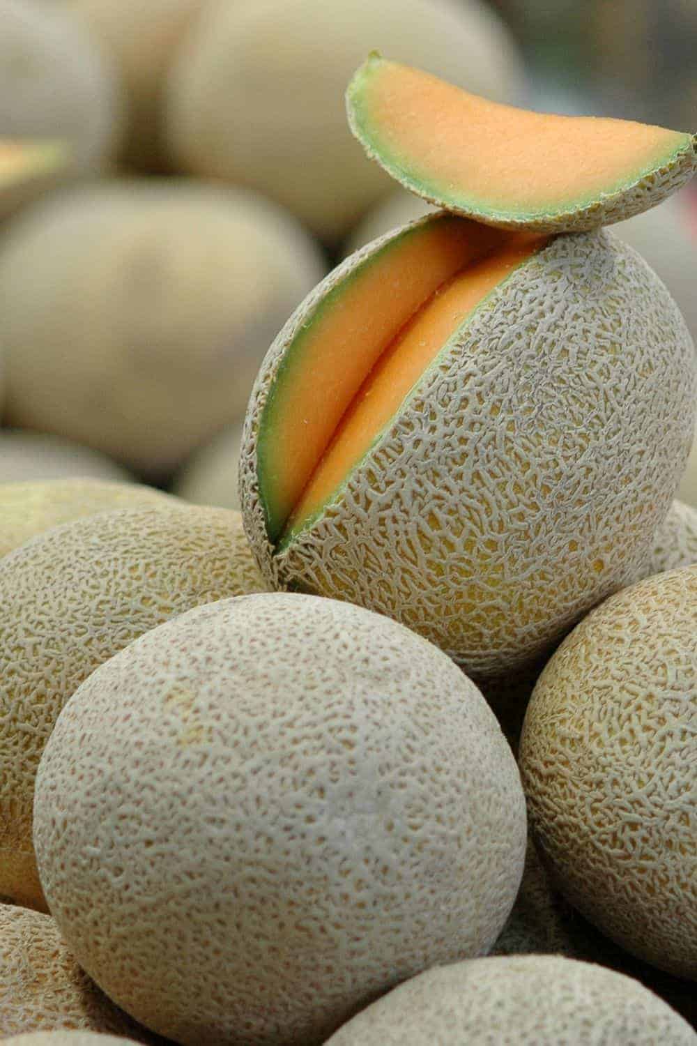 How-to-pick-a-good-cantaloupe-CO722-Pin-6