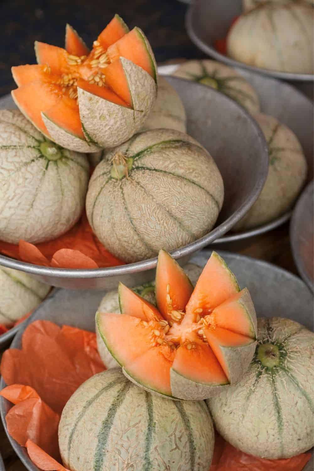 How-to-pick-a-good-cantaloupe-CO722-Pin-7