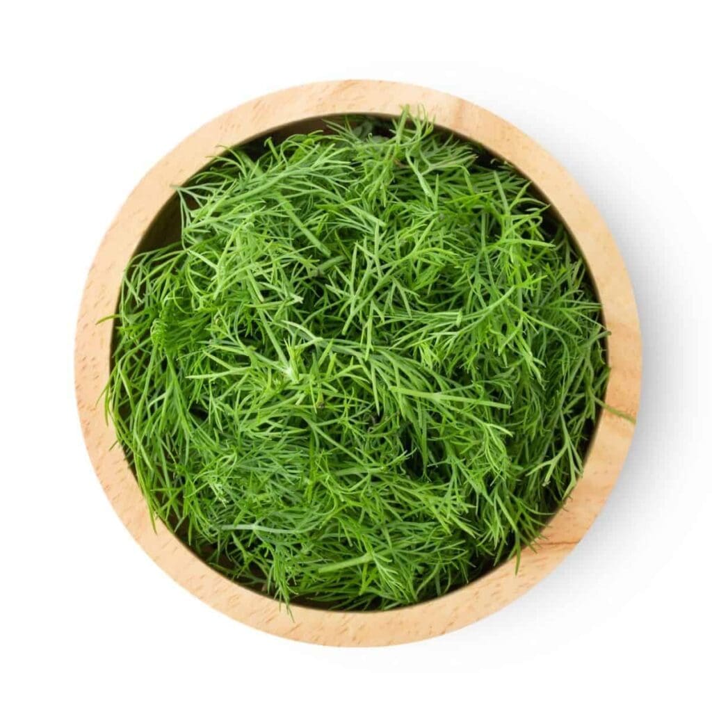 What is dill? It’s more than you think it is!