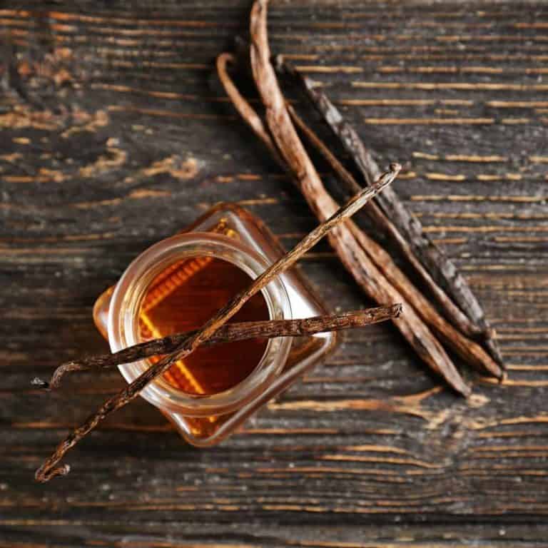What Is Vanilla Extract? Uses, Best Storage Tips & More