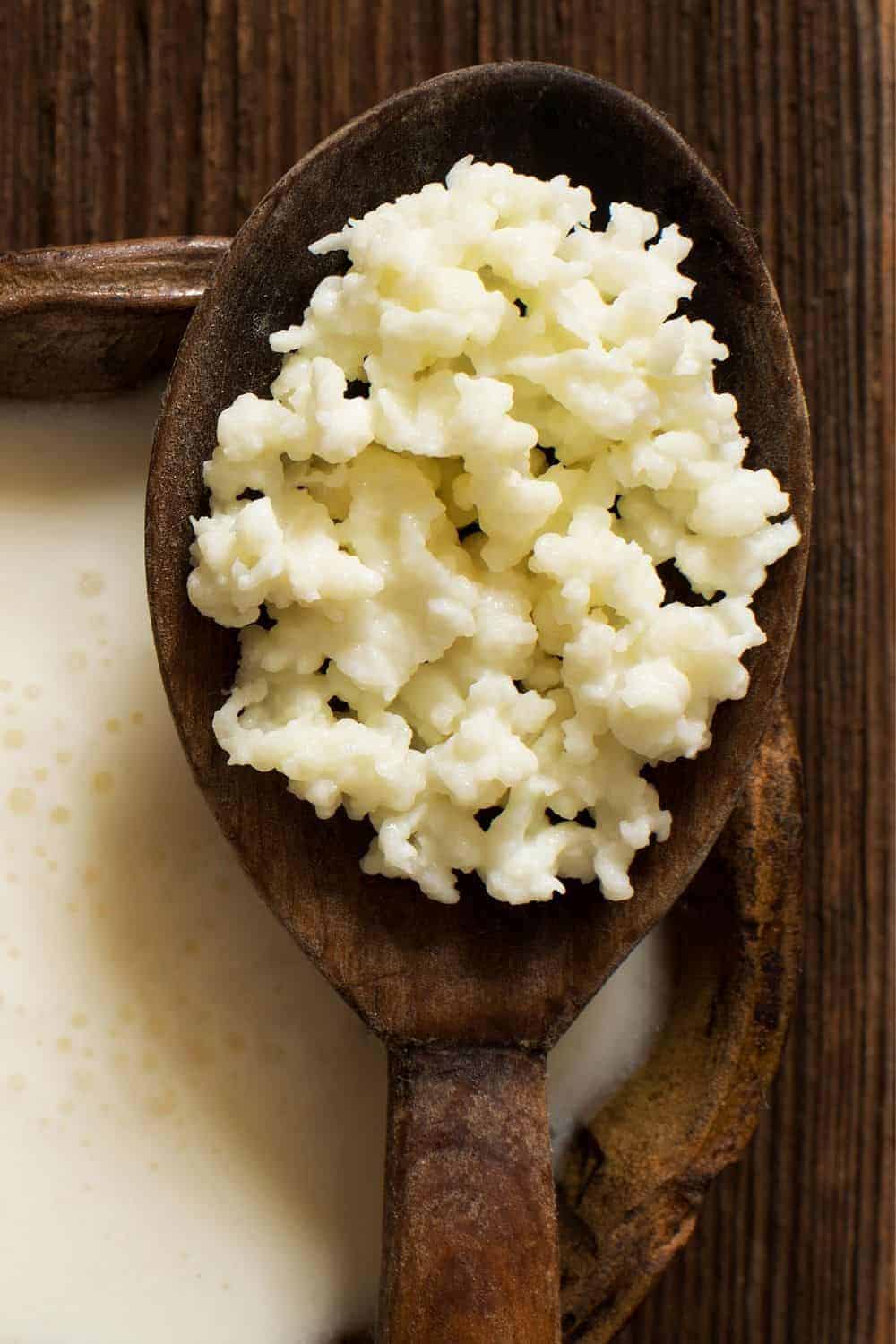 What-is-Kefir-Cheese-CO739-Pin-5