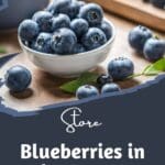 A photorealistic image of a white ceramic bowl filled with fresh blueberries.