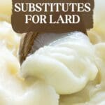 A photo of a bowl of lard with a wooden spoon