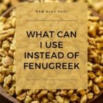 A close-up photo of fenugreek seeds on a wooden spoon.