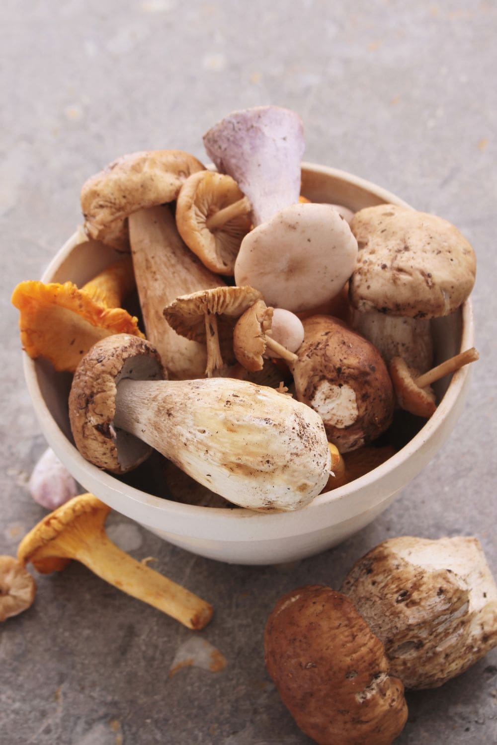 A close-up photo of a bowl filled with various types of mushrooms on a table.