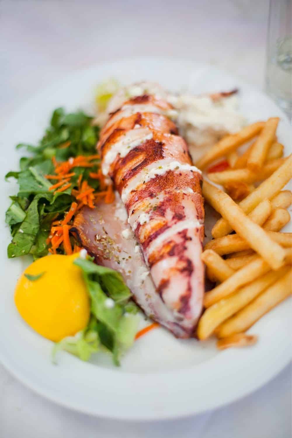 What-is-calamari-CO877-Pin-6