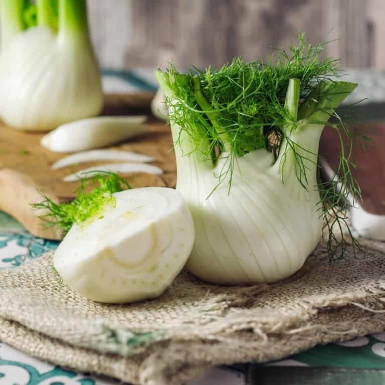 What is fennel?