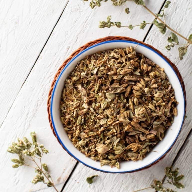How to dry oregano (dry them like a pro)