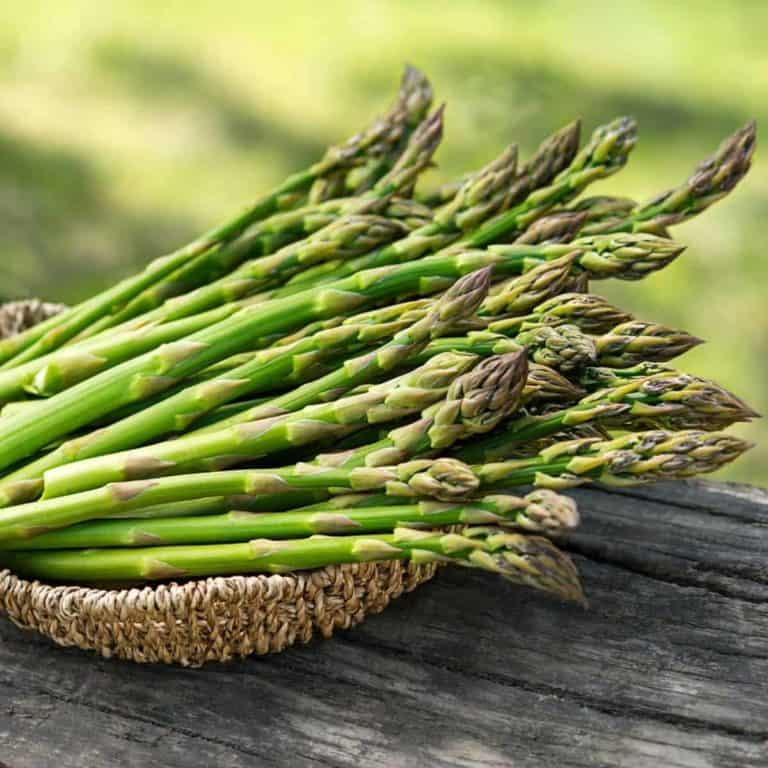 How to tell if asparagus is bad (plus the niftiest tips on keeping it fresh!)