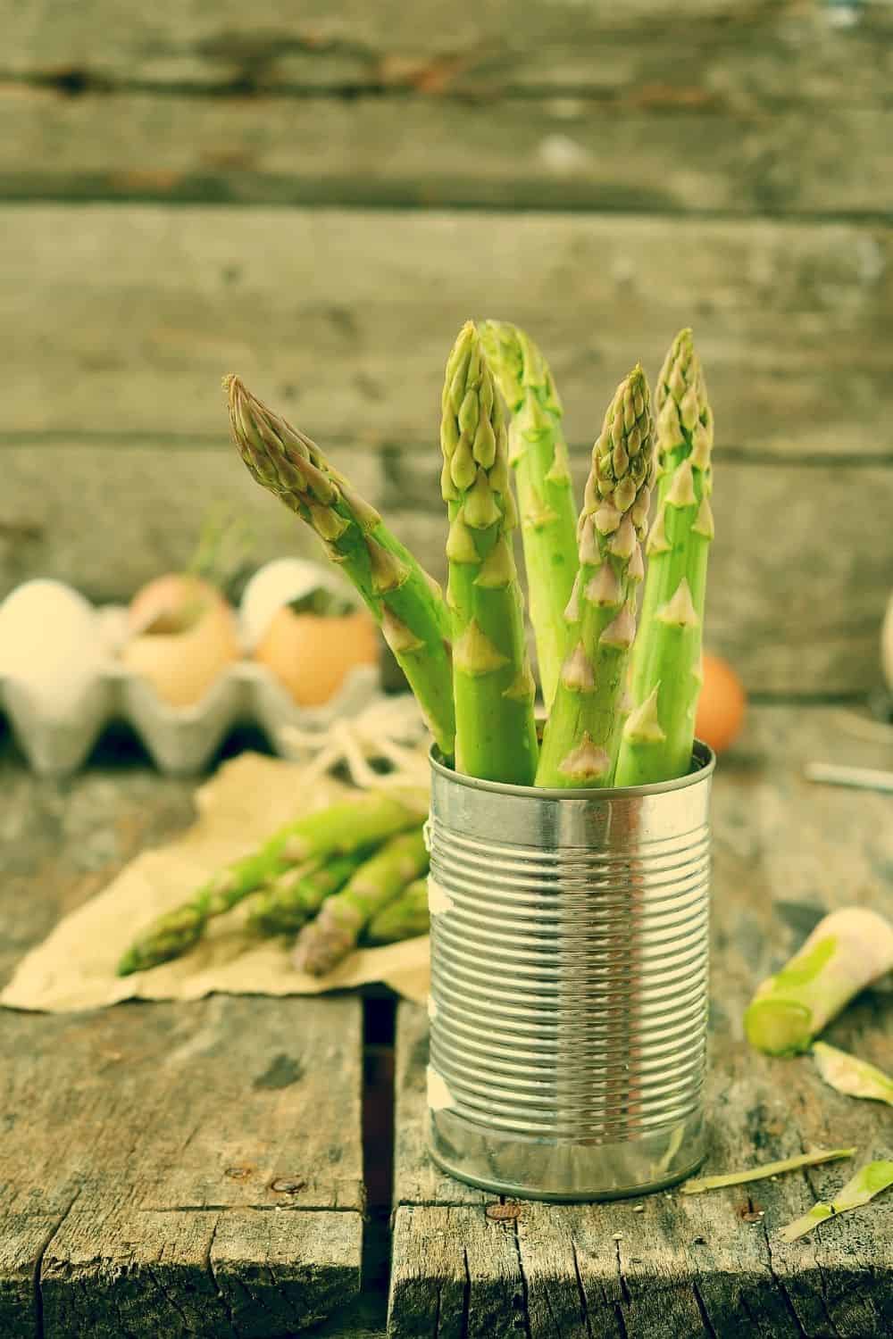 how-to-tell-if-asparagus-is-bad-CO970-Pin-6