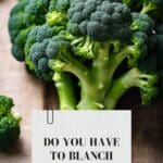 An image of a bunch of broccoli florets.