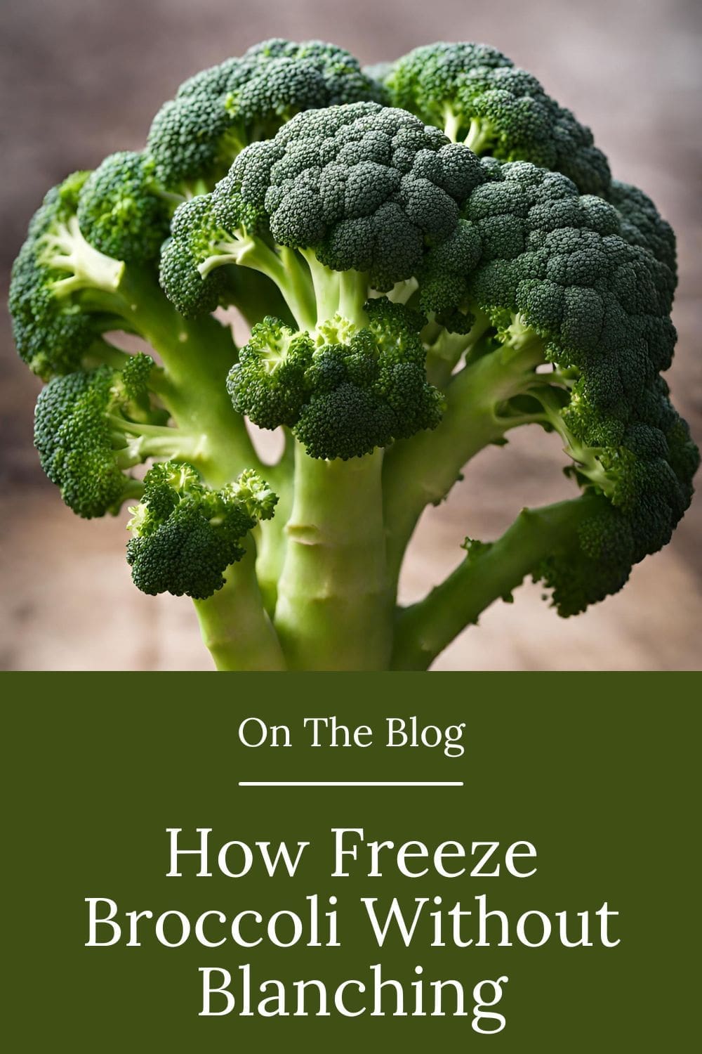 An image of a head of broccoli sitting on a dark wooden table. 
