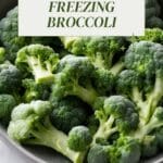 A photo of a bowl of frozen broccoli florets.