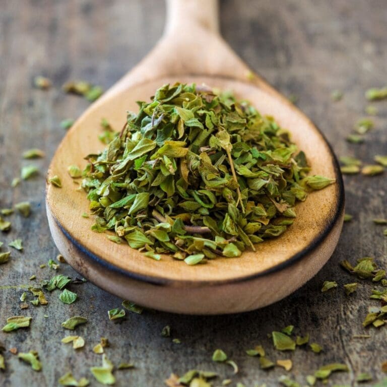 A close-up photo of a wooden spoon filled with dried oregano leaves.