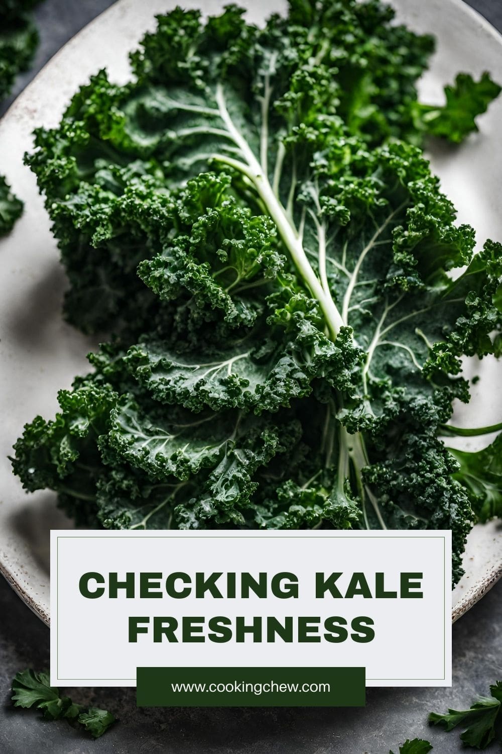 A close-up photo of a plate piled high with vibrant green kale leaves.