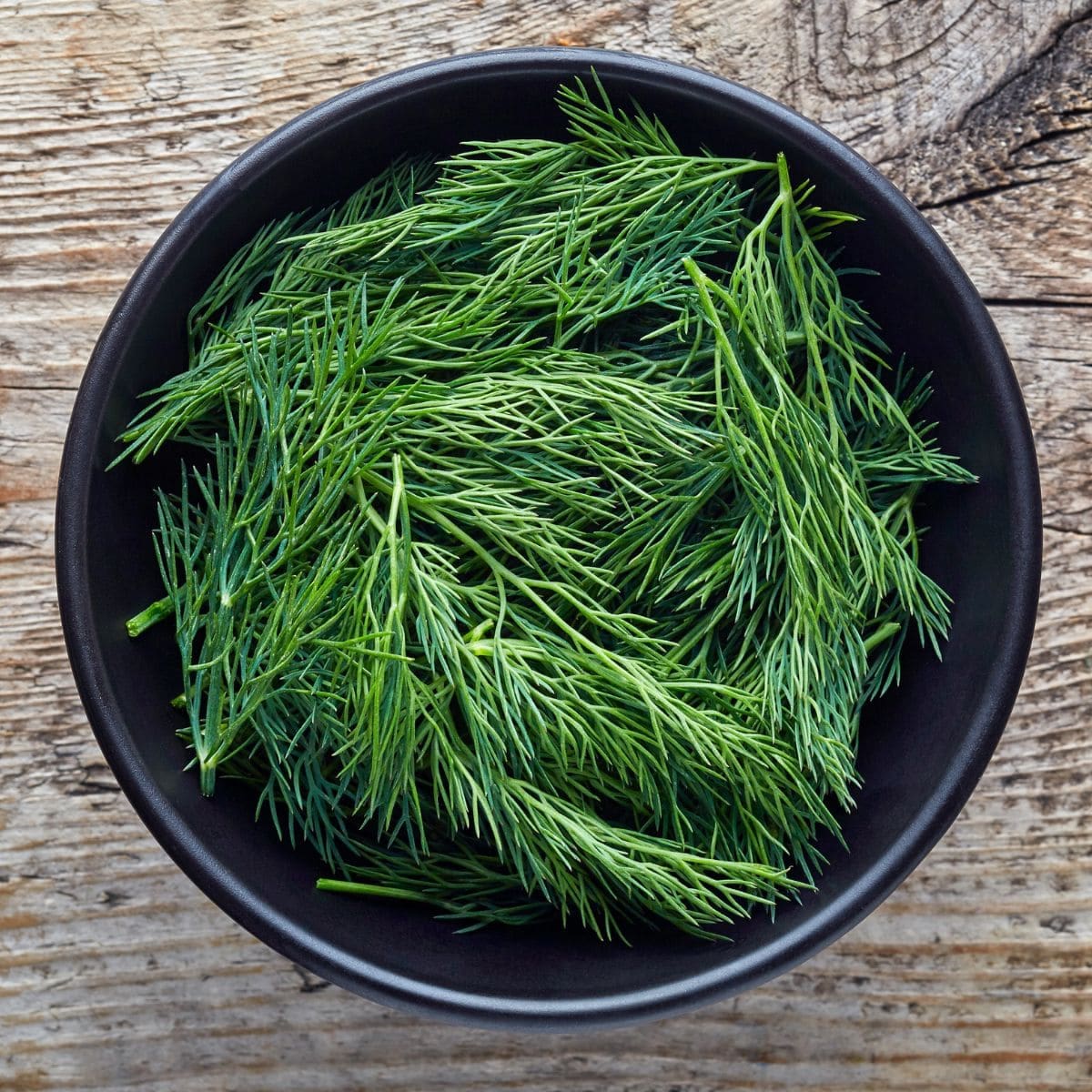 Close-up of a bowl of fresh dill on a wooden table.