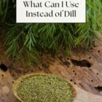 A wooden spoon filled with dried dill leaves sits on a light brown wooden table.