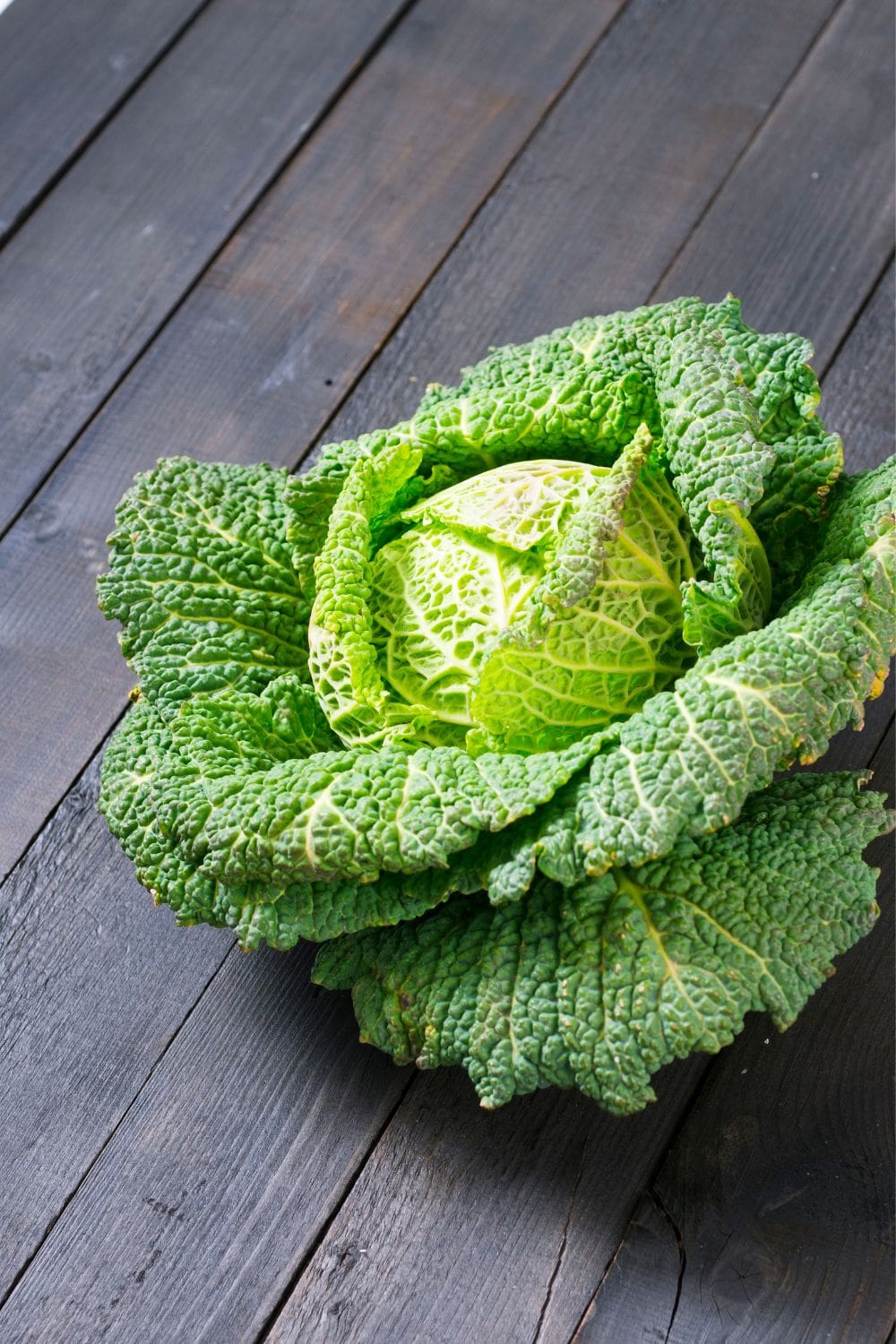A head of green cabbage sits alone on a worn wooden table.