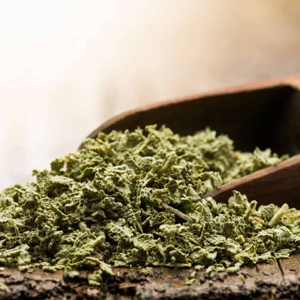 How to dry sage (4 reliable methods and essential tips)