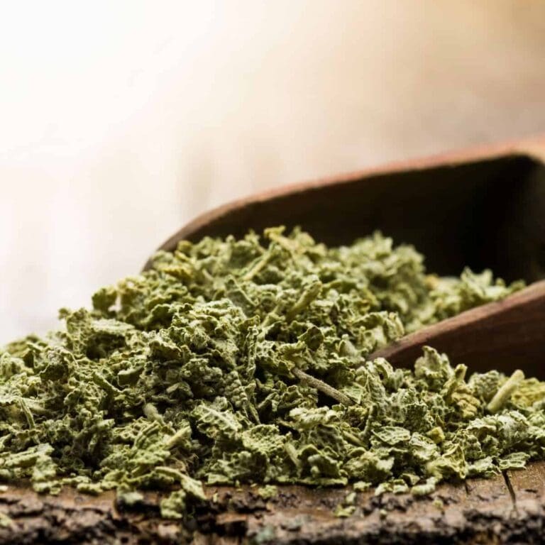How to dry sage (4 reliable methods and essential tips)