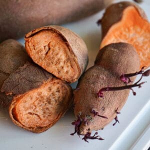 A sweet potato that has gone bad cut in half on a white cutting board